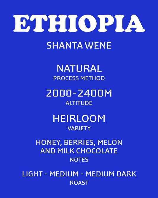 Ethiopia - Sidamo Shanta Wene