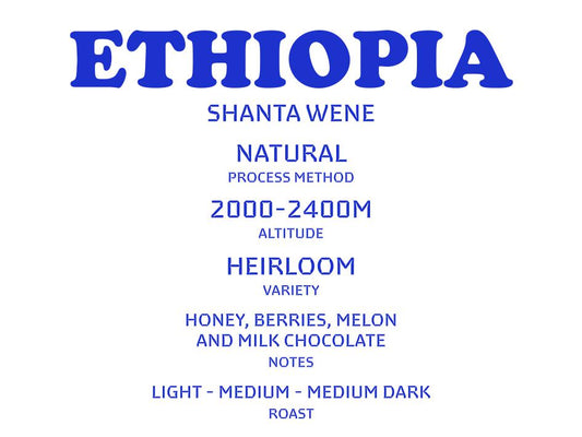 Wholesale  Ethiopia - Sidamo Shanta Wene